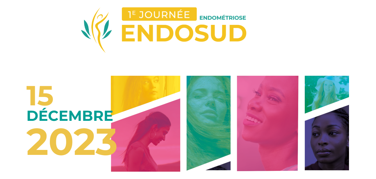 Intervenants lors de la première journée ENDOSUD